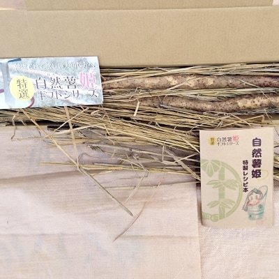 肥えた土と名水の郷“豊後竹田”の「自然薯姫　松姫(1.5kg)」