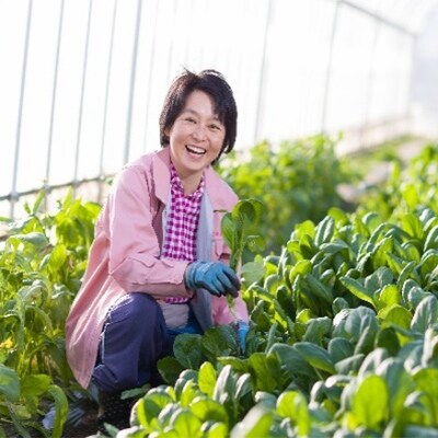 心も体もリフレッシュ、阿部農縁で過ごそう(大人2名様)