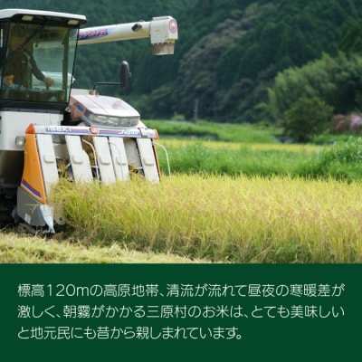 ししとう家族の宅配便!!
