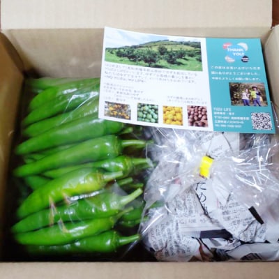 【冷凍】三原村産　大きな青唐辛子”大紅”　500g  長さ8～15㎝!