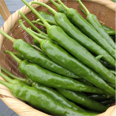 三原村産　手作りゆず胡椒セット!レシピ付き!!　青ゆず1kg+青唐辛子100g