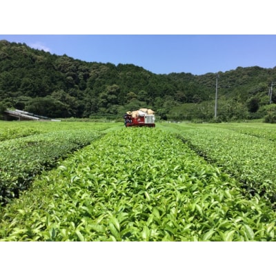【高知県三原村】三原村のお茶葉 詰め合わせ(岩崎製茶)