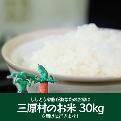 ししとう家族の宅配便!!