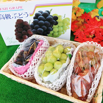 果樹王国“やまなし”から＜ぶどう3色＞詰め合わせ