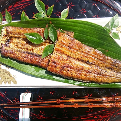 手焼き炭火焼きうなぎの蒲焼 (4尾・タレ350㏄×2本付き)