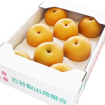 古谷の梨(8月～11月限定)3kg～5kg【C38】