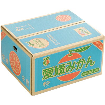 【D8】今治産 温州みかん10kg