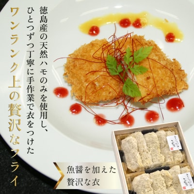 【漁獲量全国トップクラス!徳島産天然鱧】冷凍 鱧かつ(5×2パック)【AQ001】