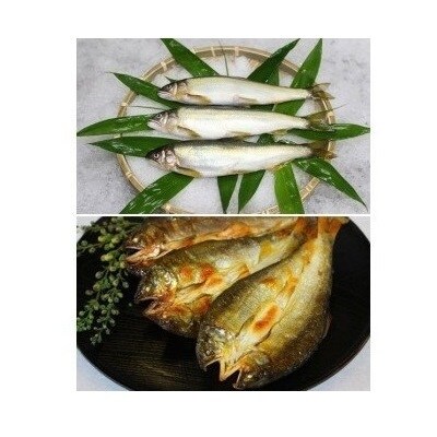 美味追求 すだち鮎(冷凍鮎 約12尾)・一夜干し(冷凍 5枚)セット【A009a】