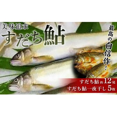 美味追求 すだち鮎(冷凍鮎 約12尾)・一夜干し(冷凍 5枚)セット【AT002】