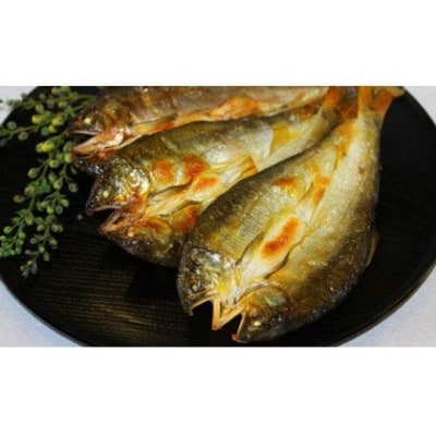 美味追求 すだち鮎(冷凍鮎 約12尾)・一夜干し(冷凍 5枚)セット【AT002】