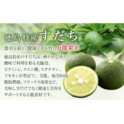 すだち果汁　2L(1L×2本セット)【BP007】