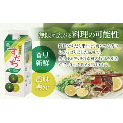 すだち果汁　2L(1L×2本セット)【BP007】