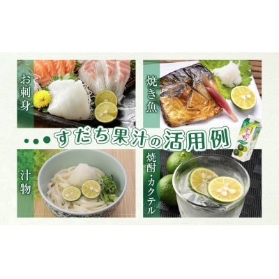 すだち果汁　2L(1L×2本セット)【BP007】