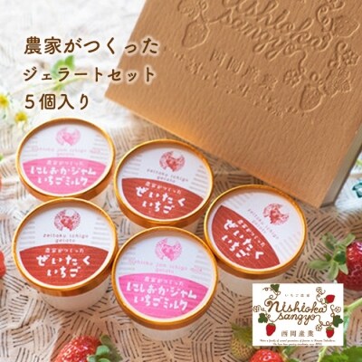 農家がつくったジェラートセット5個入【2A001a】 