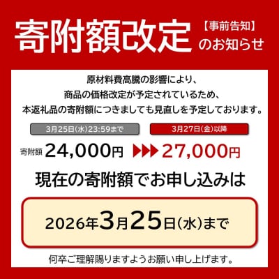 海苔 乾物 大野海苔 528枚 ( 48枚 × 11本 )【AN002】