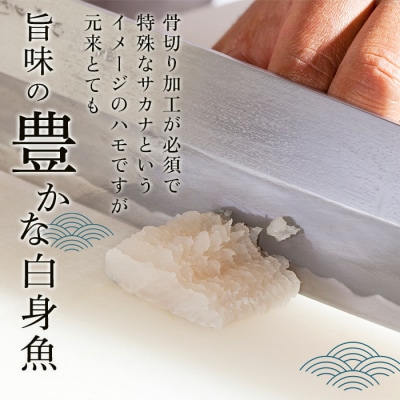 【徳島産「天然鱧」切り身・つくね】冷凍 ハモ鍋セット(2～3人前)【AQ002】 