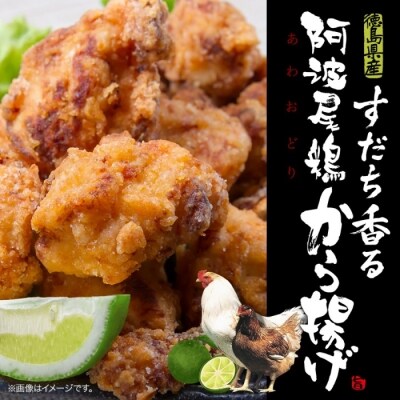 すだち香る　阿波尾鶏から揚げ　1kg(500グラム×2)【AE002】