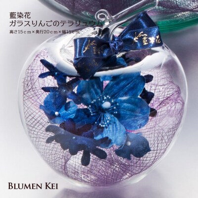 藍染花ガラスりんごのテラリュウム【DA012】