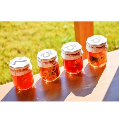 徳島ぴクルス(小瓶)×4本ギフト【BS002】