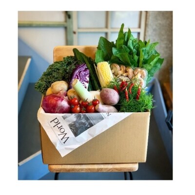 ふるさとの旬が楽しいお野菜ボックス(約13品)【1A023a】