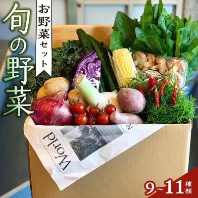 野菜セット 旬の野菜 (9~11種類)【BU001】