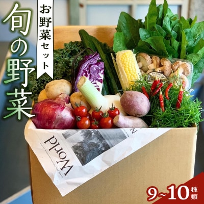 野菜セット 旬の野菜 (9~10種類)【BU001】