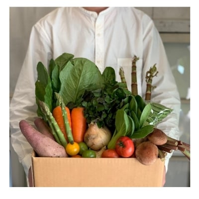 野菜セット 旬の野菜 (9~10種類)【BU001】