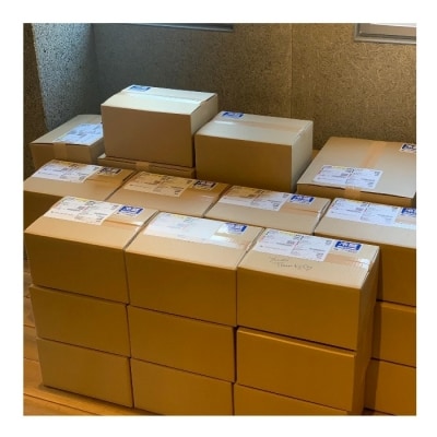 野菜セット 旬の野菜 (9~10種類)【BU001】