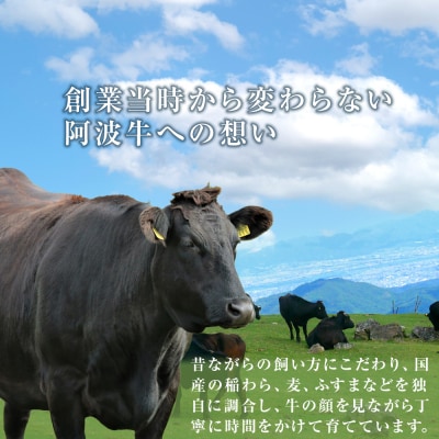 イチ押し阿波牛すき焼き・しゃぶしゃぶ約1kg「阿波牛すじ肉500g付き」【AB004】