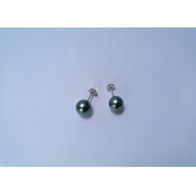 【特選品】黒蝶真珠ピアス【EH008】