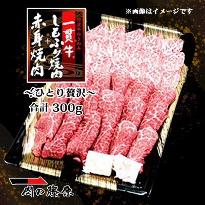 <一人贅沢> 阿波牛のきわみ「一貫牛」赤身焼肉&しもふり焼肉 300g【AA012】