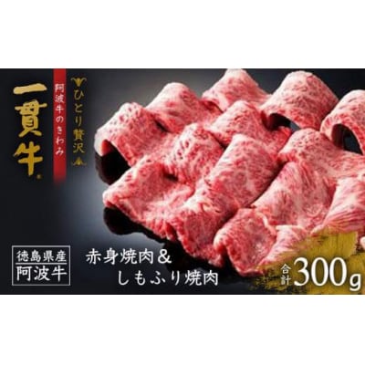 <一人贅沢> 阿波牛のきわみ「一貫牛」赤身焼肉&しもふり焼肉 300g【AA012】