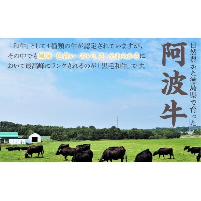 <一人贅沢> 阿波牛のきわみ「一貫牛」赤身焼肉&しもふり焼肉 300g【AA012】
