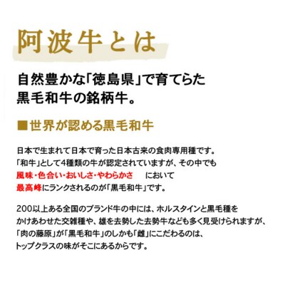 一貫牛 特選ロースしゃぶしゃぶ 800g【AA009】