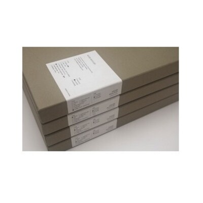 Round RaysTray L　ホワイトシカモア〜white sycamore〜【DR017】