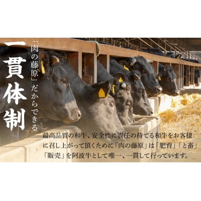 一貫牛　赤身焼肉&しもふり焼肉(500g)【AA011】