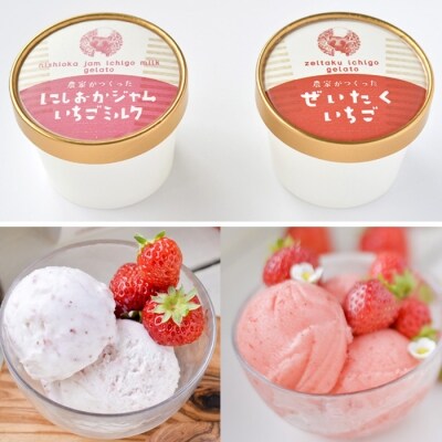 農家がつくったジェラートセット8個入【BH005】