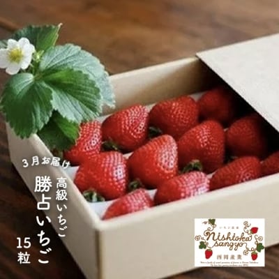 先行受付 高級いちご「勝占いちご」15粒【3月お届け】(老舗料亭も御用達)【BH006VC03】