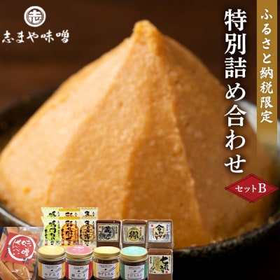 ふるさと納税限定　特別詰め合わせセットB【BV002】
