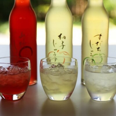 阿波遊山・和菓子職人のじゅうす 【山桃】セット【CG003VC03】