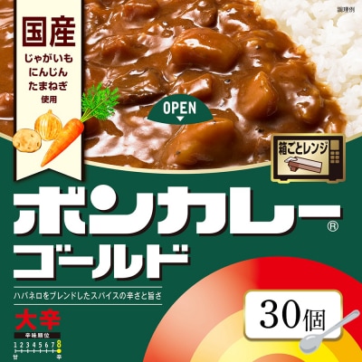 ボンカレーゴールド(大辛)【CA006】 