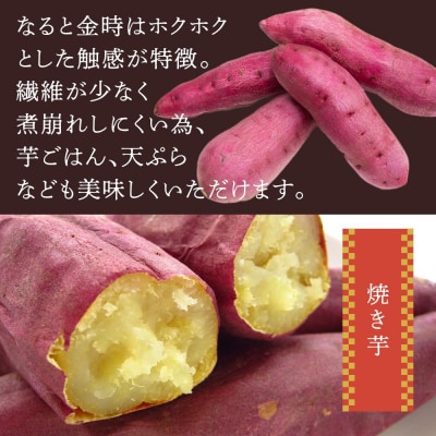 さつまいも なると金時 甘姫 約5kg 1箱 【BP005】