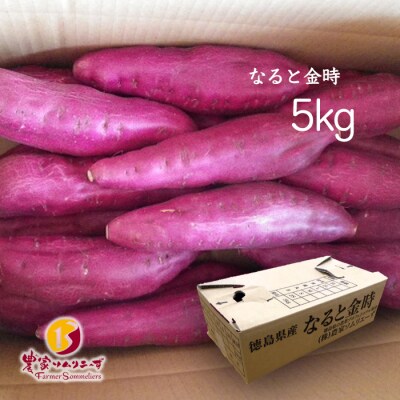 【ほくほく系のトップブランド】農家ソムリエーず なると金時 5kg【BN014】