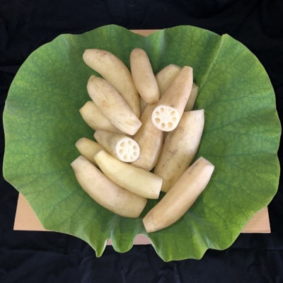 大小バラ 蓮根 約1kg【BR001】