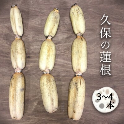 【久保の蓮根】1本物 3～4本入り【BR003】