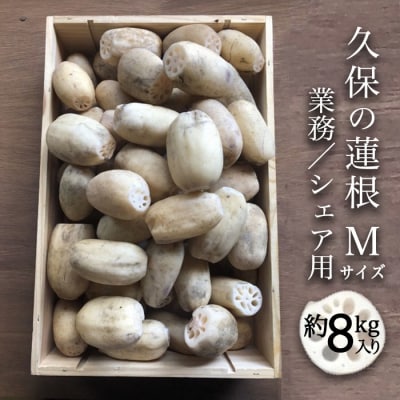蓮根 業務・シェア用「Mサイズ」約8kg入【BR005】