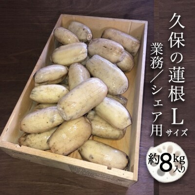 【久保の蓮根】業務/シェア用「Lサイズ」約8kg入【2B015a】 | ふるさと納税のお礼品