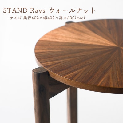STAND Rays ウォールナット【DR024】