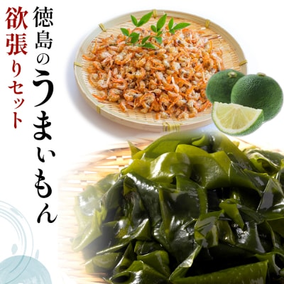 徳島のうまいもん欲張りセット【BC007】